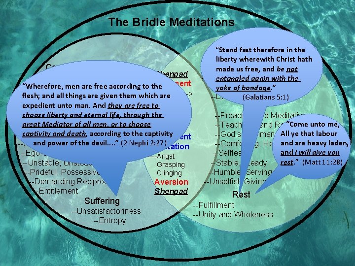 The Bridle Meditations “Stand fast therefore in the liberty wherewith Christ hath Conventional Reality