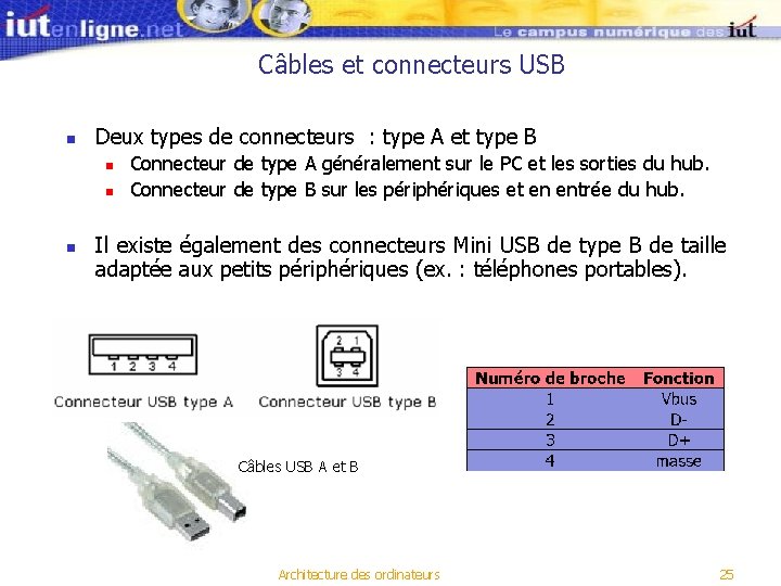 Câbles et connecteurs USB n Deux types de connecteurs : type A et type