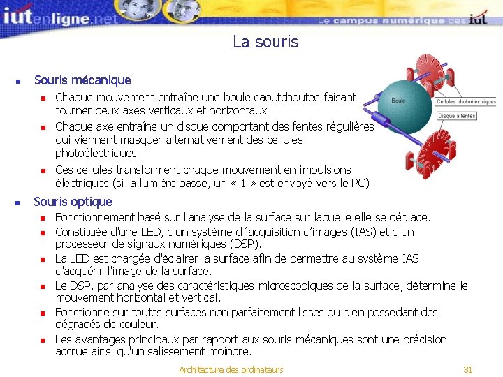 La souris n Souris mécanique n n Chaque mouvement entraîne une boule caoutchoutée faisant