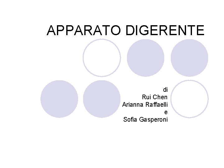 APPARATO DIGERENTE di Rui Chen Arianna Raffaelli e Sofia Gasperoni 