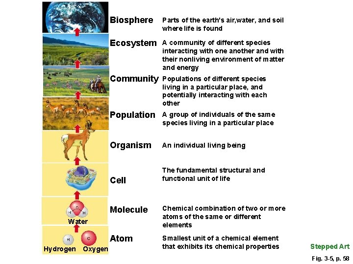 Biosphere Parts of the earth's air, water, and soil where life is found Ecosystem