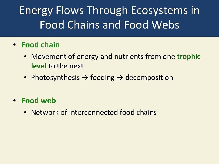 Energy Flows Through Ecosystems in Food Chains and Food Webs • Food chain •