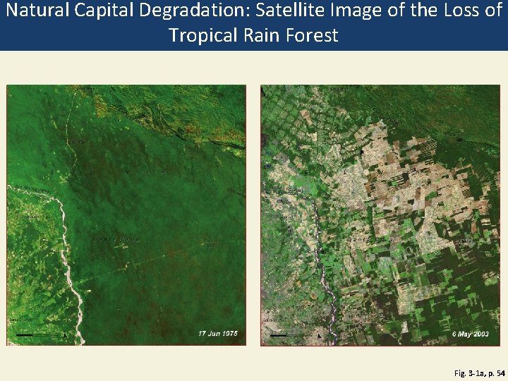 Natural Capital Degradation: Satellite Image of the Loss of Tropical Rain Forest Fig. 3