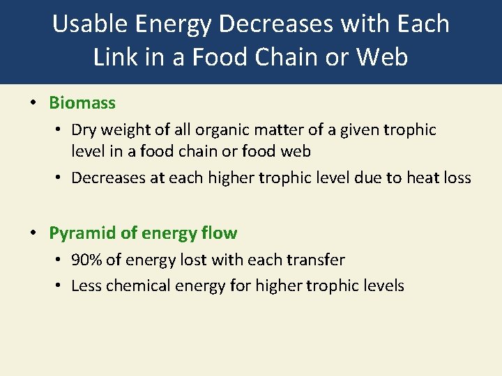 Usable Energy Decreases with Each Link in a Food Chain or Web • Biomass