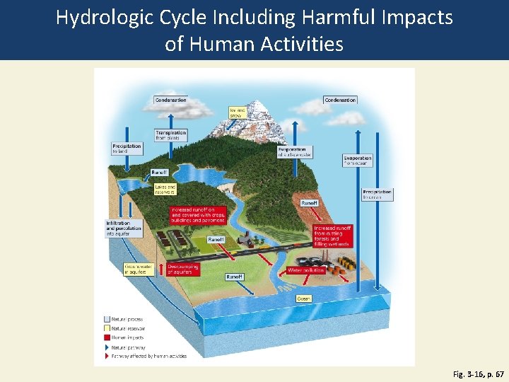 Hydrologic Cycle Including Harmful Impacts of Human Activities Fig. 3 -16, p. 67 