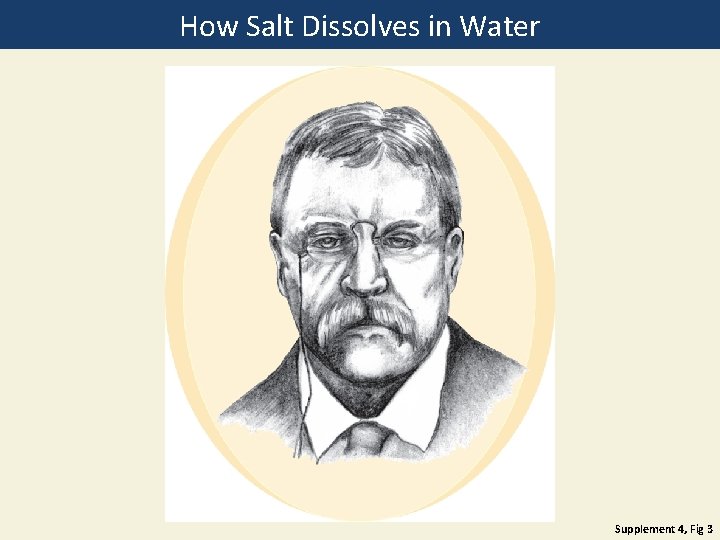 How Salt Dissolves in Water Supplement 4, Fig 3 