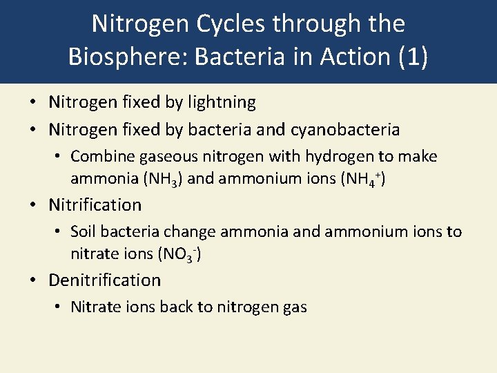 Nitrogen Cycles through the Biosphere: Bacteria in Action (1) • Nitrogen fixed by lightning