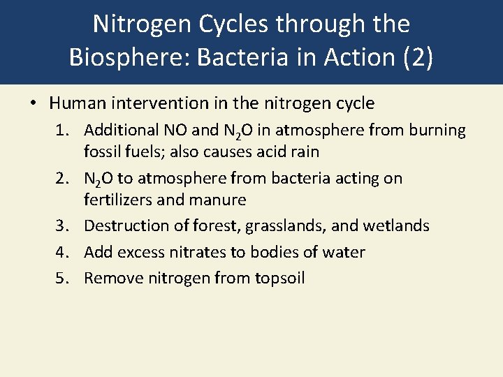 Nitrogen Cycles through the Biosphere: Bacteria in Action (2) • Human intervention in the