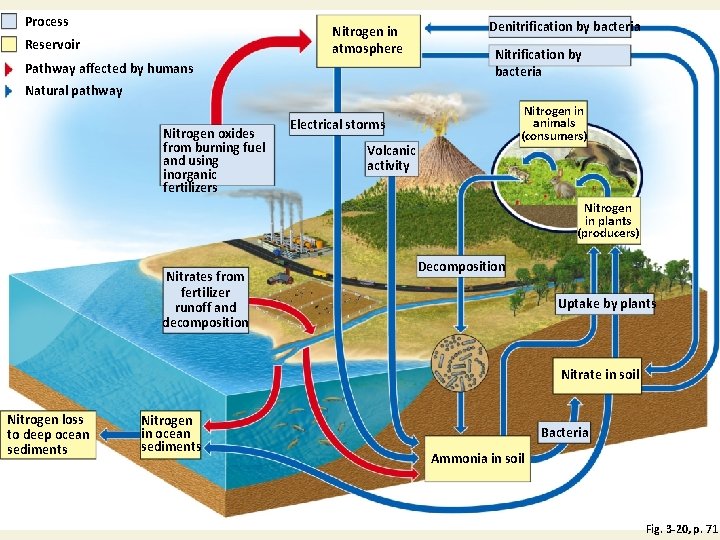 Process Nitrogen in atmosphere Reservoir Pathway affected by humans Denitrification by bacteria Natural pathway