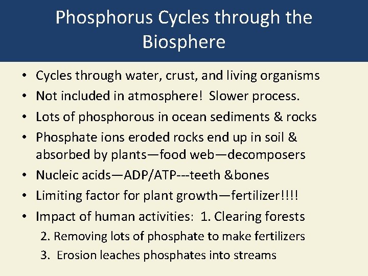 Phosphorus Cycles through the Biosphere Cycles through water, crust, and living organisms Not included