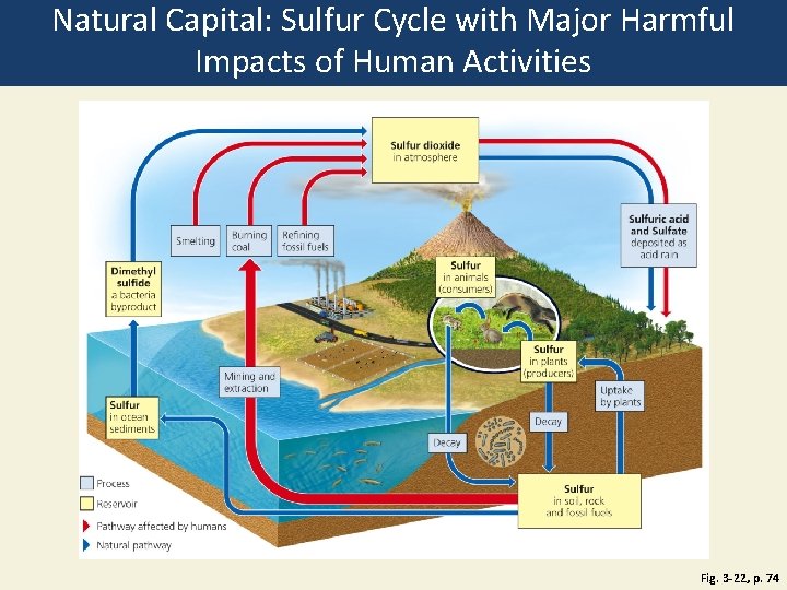 Natural Capital: Sulfur Cycle with Major Harmful Impacts of Human Activities Fig. 3 -22,