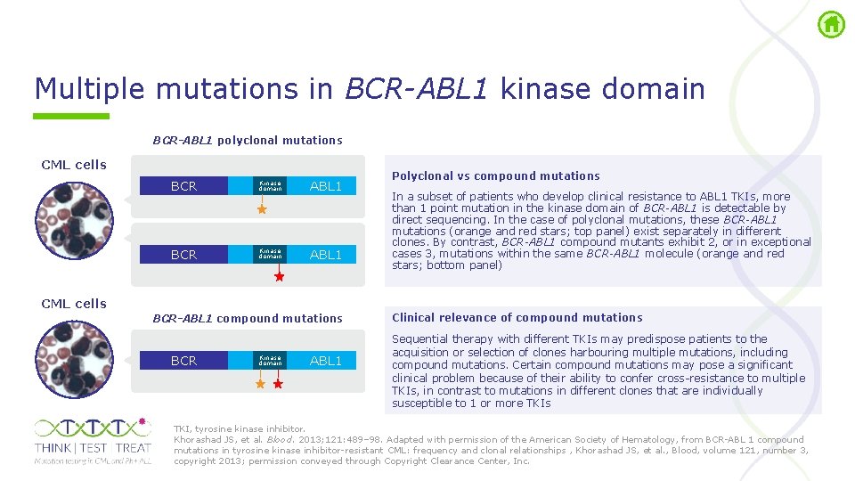 Multiple mutations in BCR-ABL 1 kinase domain BCR-ABL 1 polyclonal mutations CML cells BCR