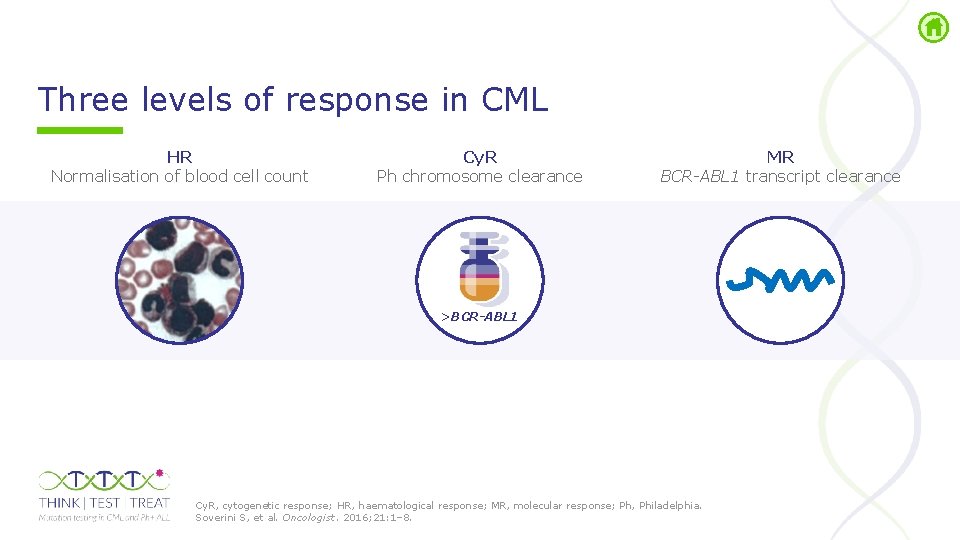 Three levels of response in CML HR Normalisation of blood cell count Cy. R