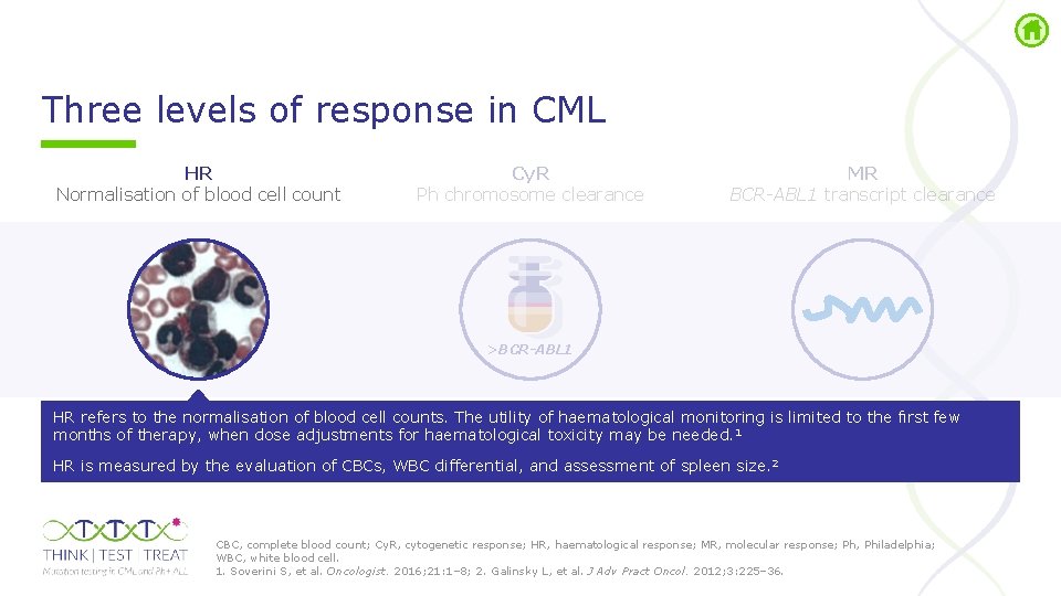 Three levels of response in CML HR Normalisation of blood cell count Cy. R