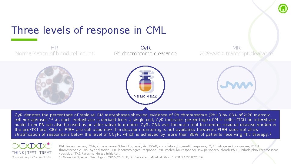 Three levels of response in CML HR Normalisation of blood cell count Cy. R