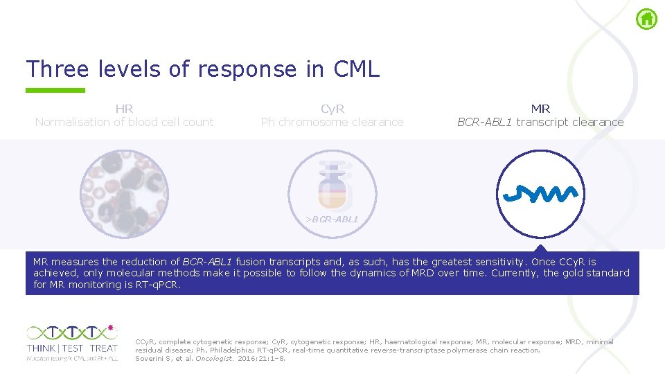 Three levels of response in CML HR Normalisation of blood cell count Cy. R