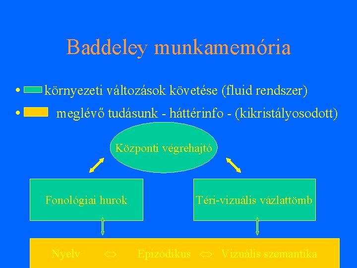 Baddeley munkamemória • • környezeti változások követése (fluid rendszer) meglévő tudásunk - háttérinfo -