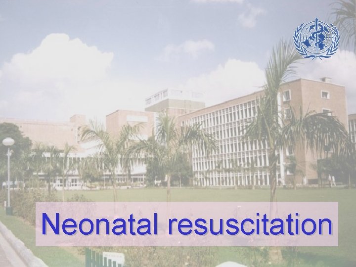 Neonatal resuscitation 