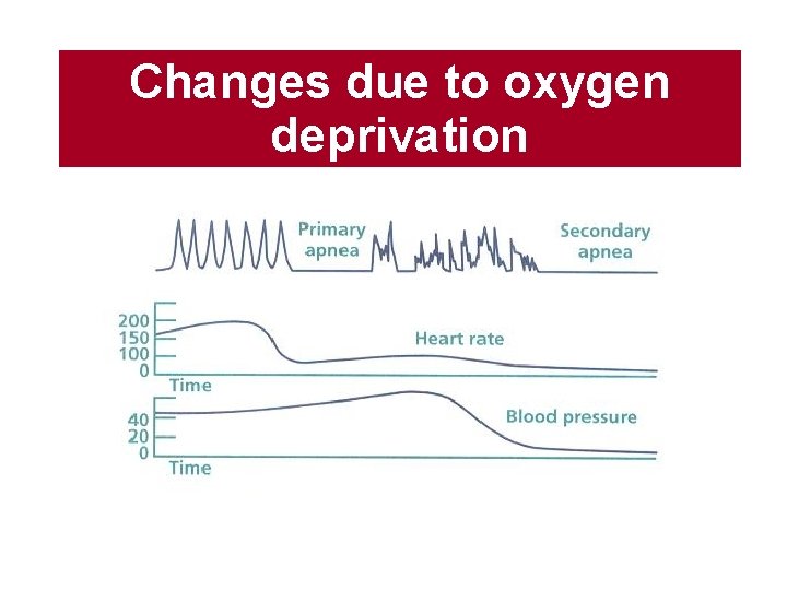 Changes due to oxygen deprivation 