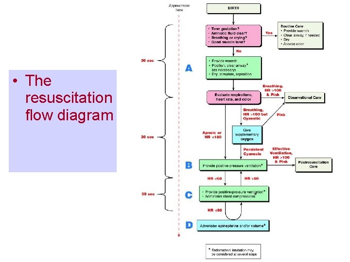  • The resuscitation flow diagram * 