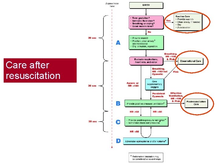 Care after resuscitation * 