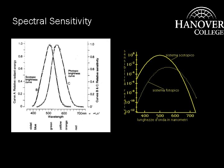 Spectral Sensitivity 