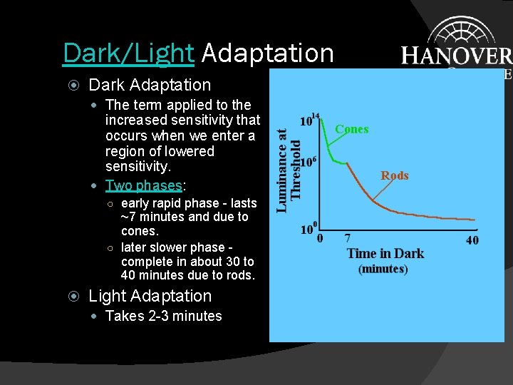 Dark/Light Adaptation Dark Adaptation The term applied to the increased sensitivity that occurs when
