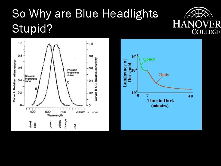 So Why are Blue Headlights Stupid? 