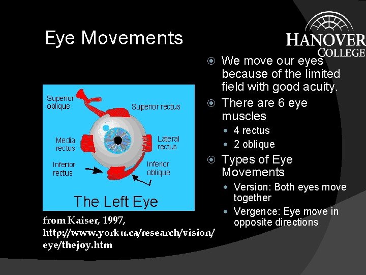 Eye Movements We move our eyes because of the limited field with good acuity.