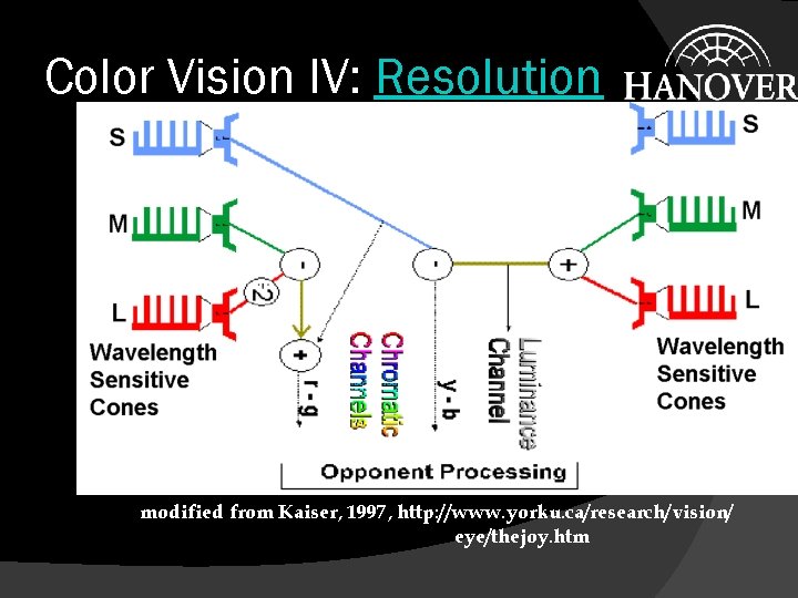 Color Vision IV: Resolution modified from Kaiser, 1997, http: //www. yorku. ca/research/vision/ eye/thejoy. htm