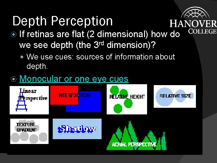 Depth Perception If retinas are flat (2 dimensional) how do we see depth (the