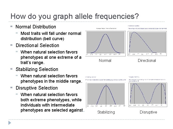 How do you graph allele frequencies? Normal Distribution Directional Selection When natural selection favors How do you graph allele frequencies? Normal Distribution Directional Selection When natural selection favors