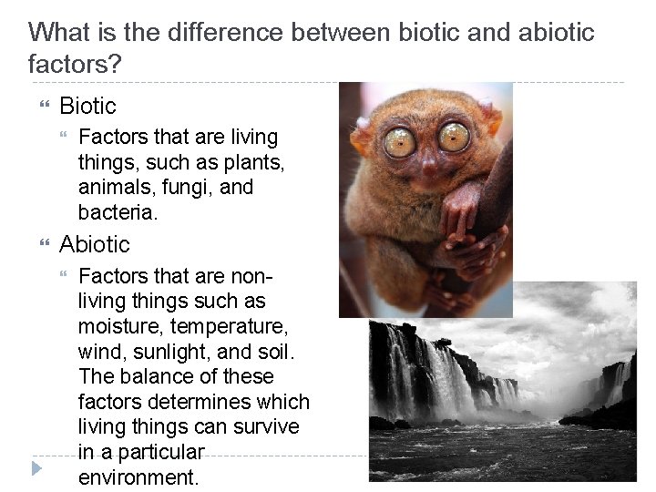 What is the difference between biotic and abiotic factors? Biotic Factors that are living What is the difference between biotic and abiotic factors? Biotic Factors that are living