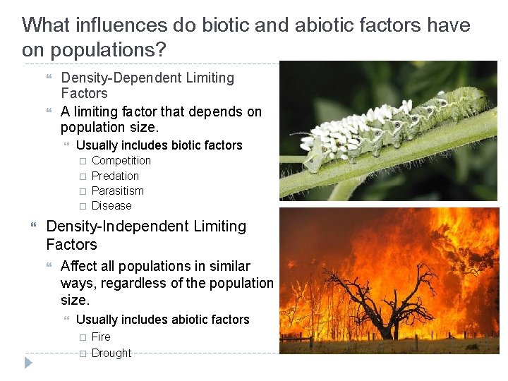 What influences do biotic and abiotic factors have on populations? Density-Dependent Limiting Factors A What influences do biotic and abiotic factors have on populations? Density-Dependent Limiting Factors A