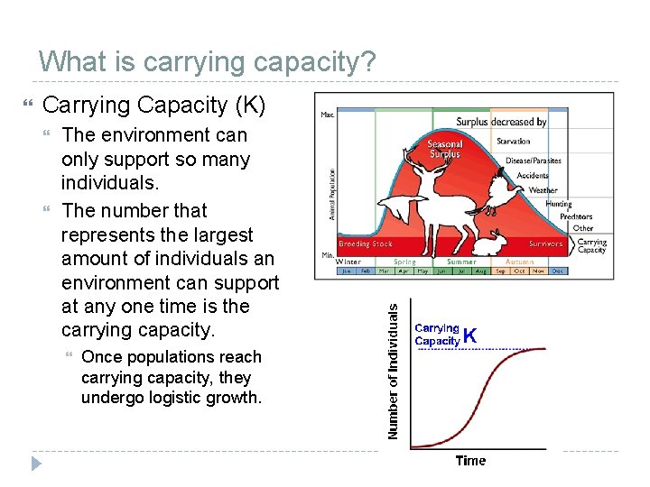 What is carrying capacity? Carrying Capacity (K) The environment can only support so many What is carrying capacity? Carrying Capacity (K) The environment can only support so many