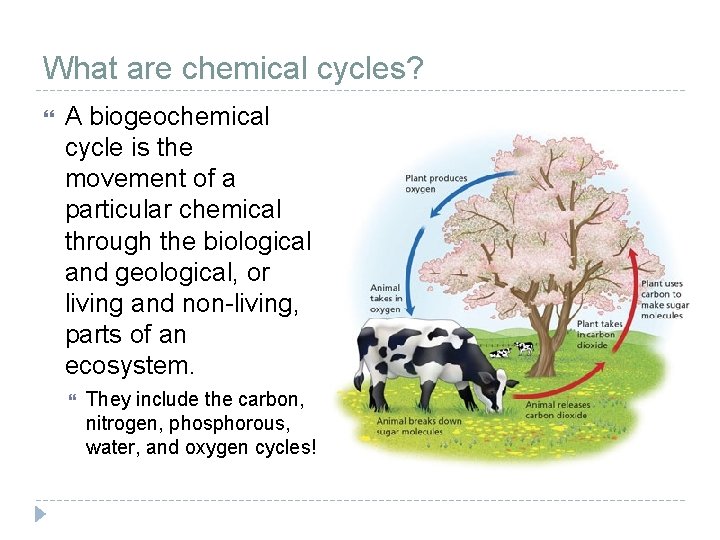 What are chemical cycles? A biogeochemical cycle is the movement of a particular chemical What are chemical cycles? A biogeochemical cycle is the movement of a particular chemical