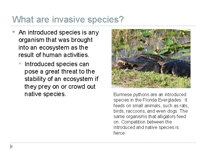 What are invasive species? An introduced species is any organism that was brought into What are invasive species? An introduced species is any organism that was brought into