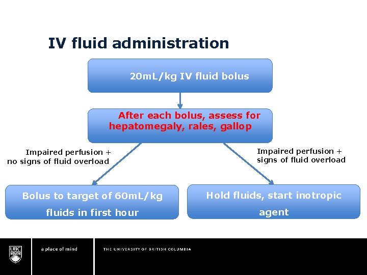 IV fluid administration 20 m. L/kg IV fluid bolus After each bolus, assess for IV fluid administration 20 m. L/kg IV fluid bolus After each bolus, assess for