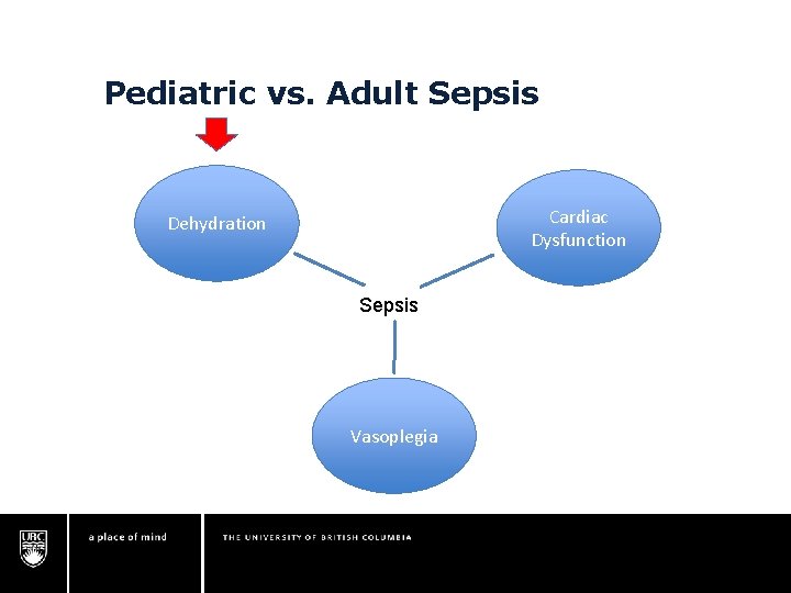 Pediatric vs. Adult Sepsis Cardiac Dysfunction Dehydration Sepsis Vasoplegia Pediatric vs. Adult Sepsis Cardiac Dysfunction Dehydration Sepsis Vasoplegia
