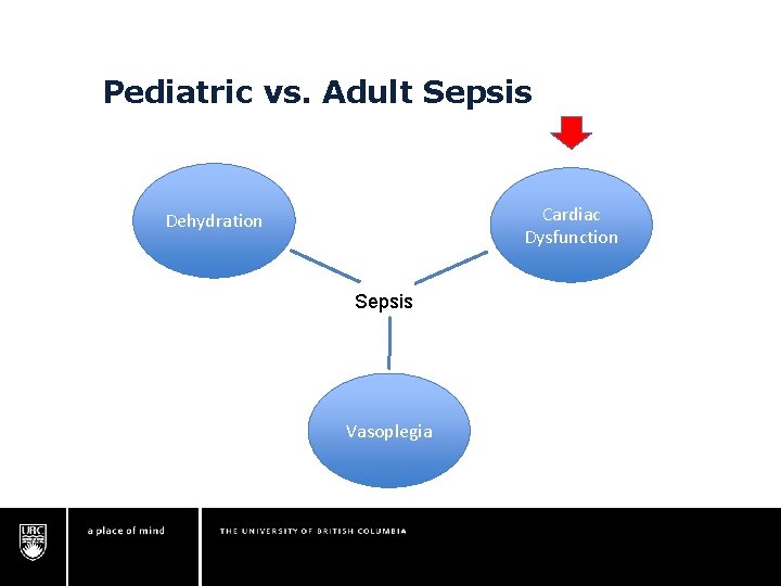 Pediatric vs. Adult Sepsis Cardiac Dysfunction Dehydration Sepsis Vasoplegia Pediatric vs. Adult Sepsis Cardiac Dysfunction Dehydration Sepsis Vasoplegia