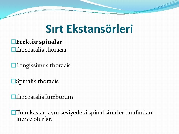 Sırt Ekstansörleri �Erektör spinalar �İliocostalis thoracis �Longissimus thoracis �Spinalis thoracis �İliocostalis lumborum �Tüm kaslar