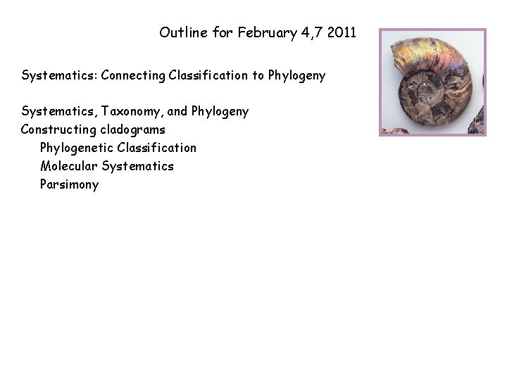 Outline for February 4, 7 2011 Systematics: Connecting Classification to Phylogeny Systematics, Taxonomy, and