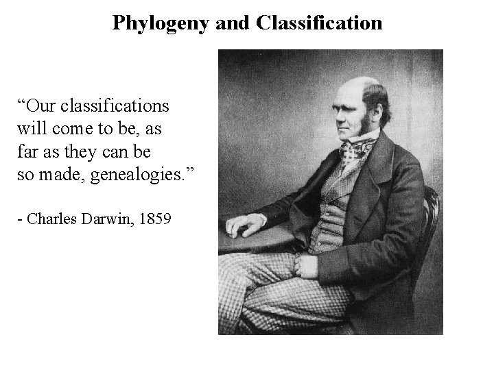 Phylogeny and Classification “Our classifications will come to be, as far as they can