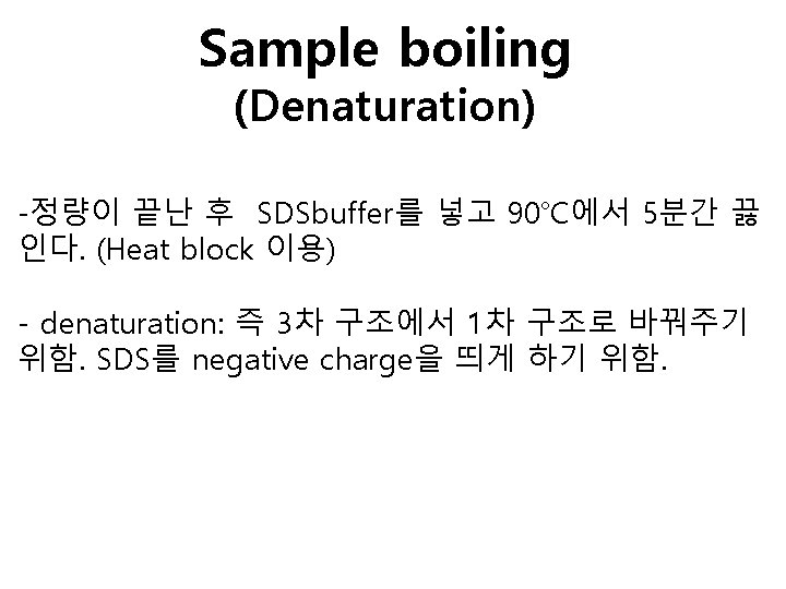 Sample boiling (Denaturation) -정량이 끝난 후 SDSbuffer를 넣고 90℃에서 5분간 끓 인다. (Heat block