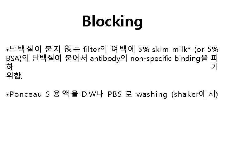 Blocking • 단 백 질 이 붙 지 않 는 filter의 여 백 에