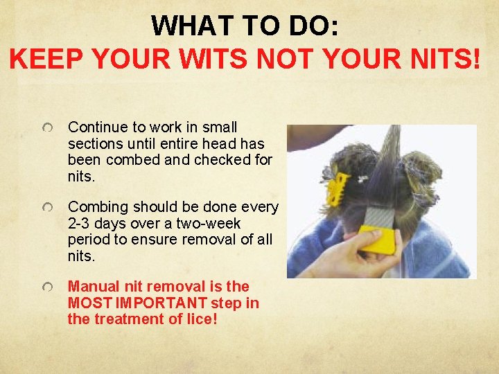 WHAT TO DO: KEEP YOUR WITS NOT YOUR NITS! Continue to work in small
