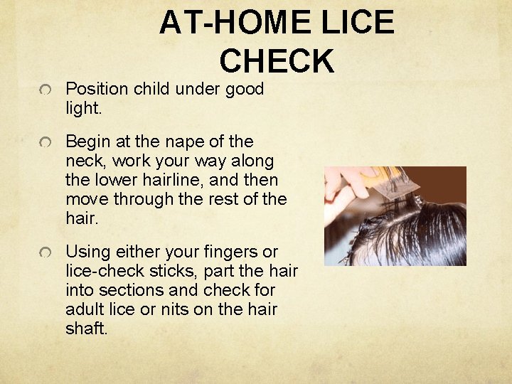 AT-HOME LICE CHECK Position child under good light. Begin at the nape of the