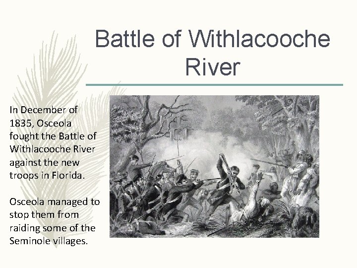Battle of Withlacooche River In December of 1835, Osceola fought the Battle of Withlacooche Battle of Withlacooche River In December of 1835, Osceola fought the Battle of Withlacooche