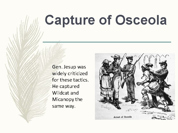 Capture of Osceola Gen. Jesup was widely criticized for these tactics. He captured Wildcat Capture of Osceola Gen. Jesup was widely criticized for these tactics. He captured Wildcat