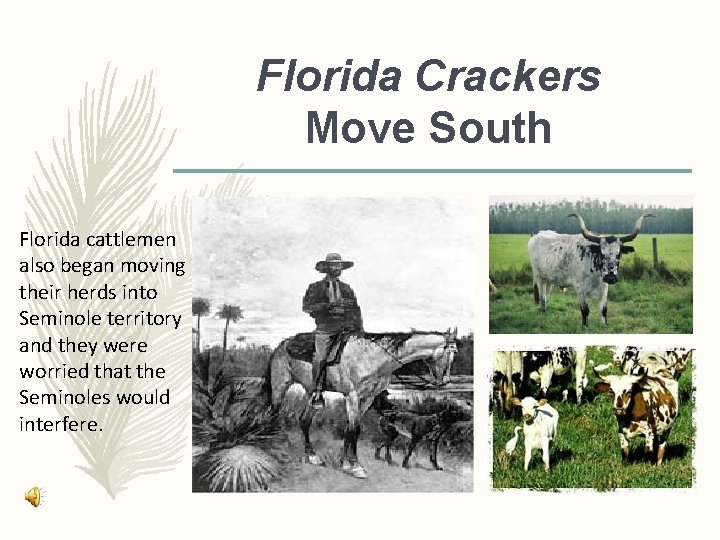 Florida Crackers Move South Florida cattlemen also began moving their herds into Seminole territory Florida Crackers Move South Florida cattlemen also began moving their herds into Seminole territory